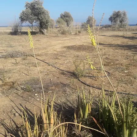 House منزل ريفي