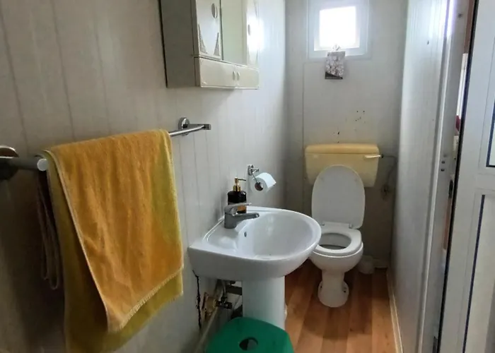 House * マゾトス