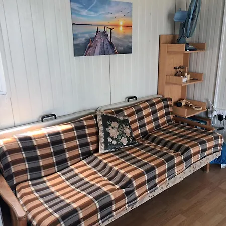 House * 마조토스