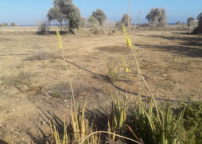 House Venkovský dům